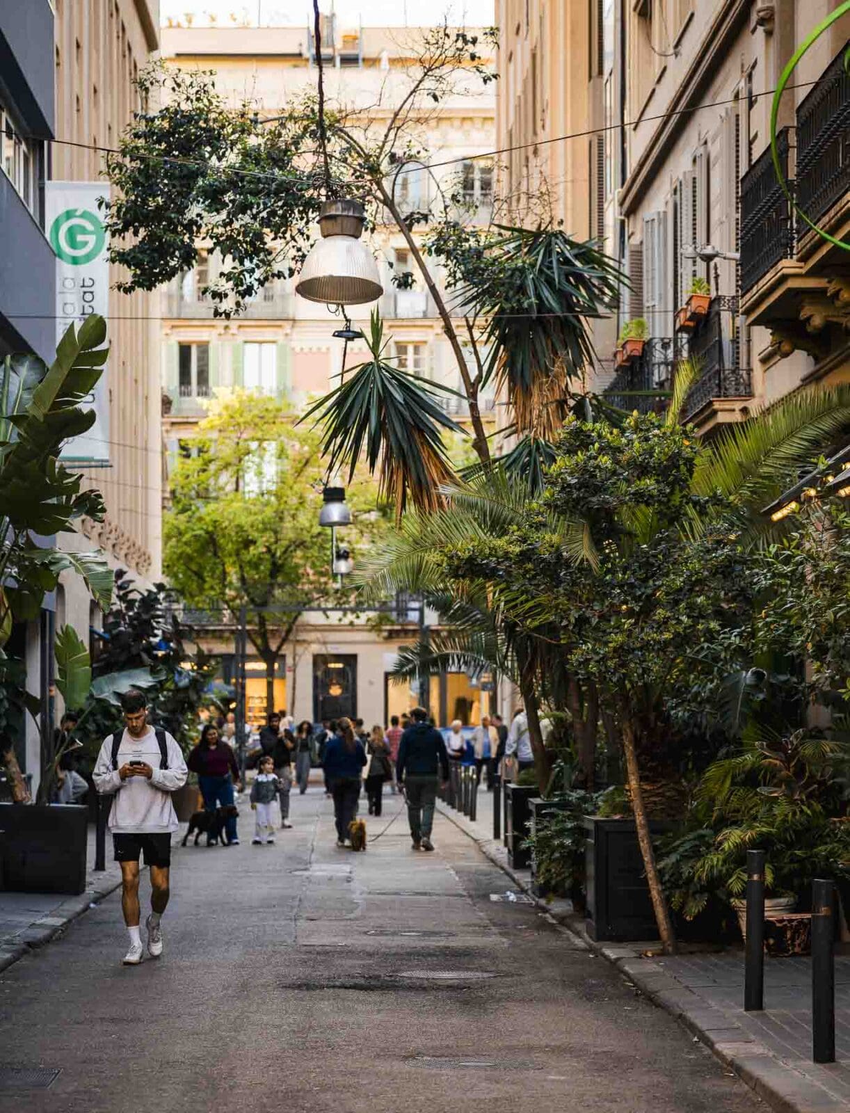 Belebte Straße mit Palmen in Gràcia, Barcelona
