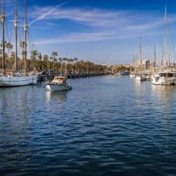Barcelona foodguide 229 | Barcelona ist unsere absolute Lieblingsstadt. Wir waren hier auf Hochzeitsreise, wir kennen gefühlt jede Gasse und trotzdem finden wir bei jedem Besuch etwas Neues. Weil sich in den letzten Jahren einiges getan hat, haben wir unseren Barcelona Food Guide einmal komplett neu geschrieben. Alle Spots sind frisch besucht oder geprüft, geschlossene Läden sind rausgeflogen und ein paar neue Lieblinge dazugekommen.