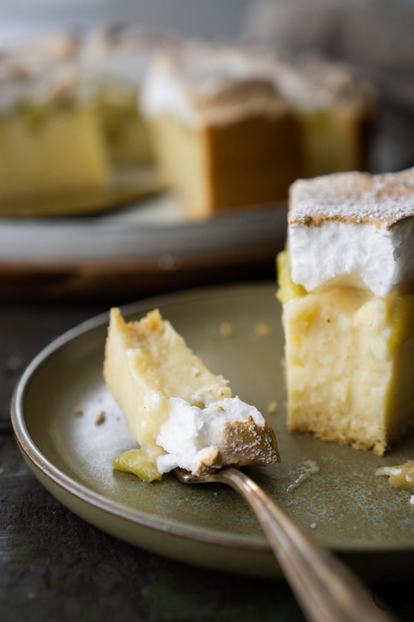 mW Rhabarber Pudding Kuchen 8 | Jedes Mal, wenn wir in Sascha's Heimat zu Gast sind, backen wir natürlich für die Familie einen Kuchen oder eine Torte. Am Pfingstwochenende war es endlich nach längerer Zeit wieder soweit. Wir hatten aus dem Garten von Torsten's Eltern dicke saftige Stangen Rhabarber mitgebracht und wussten zunächst gar nicht, was wir backen sollten, aber nach einem kurzen Brainstorming waren wir uns einig ... ein Rhabarber-Pudding Kuchen mit Baiserhaube solle es werden. Alle waren in heller Aufregung bei der Vorstellung.