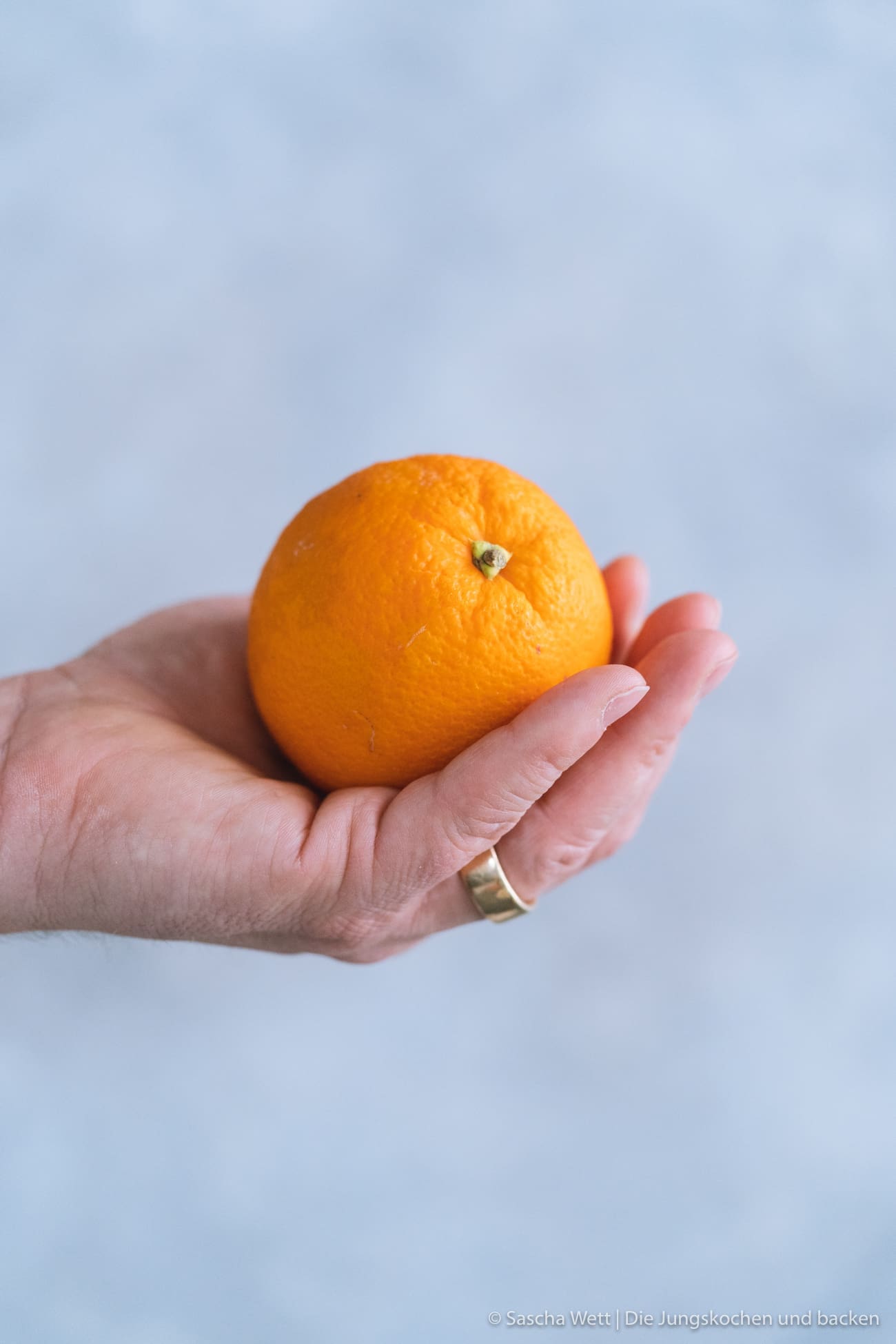 Orangenkuchen_Minzstreusel_Rezept-10 Orangenkuchen_Minzstreusel_Rezept-10