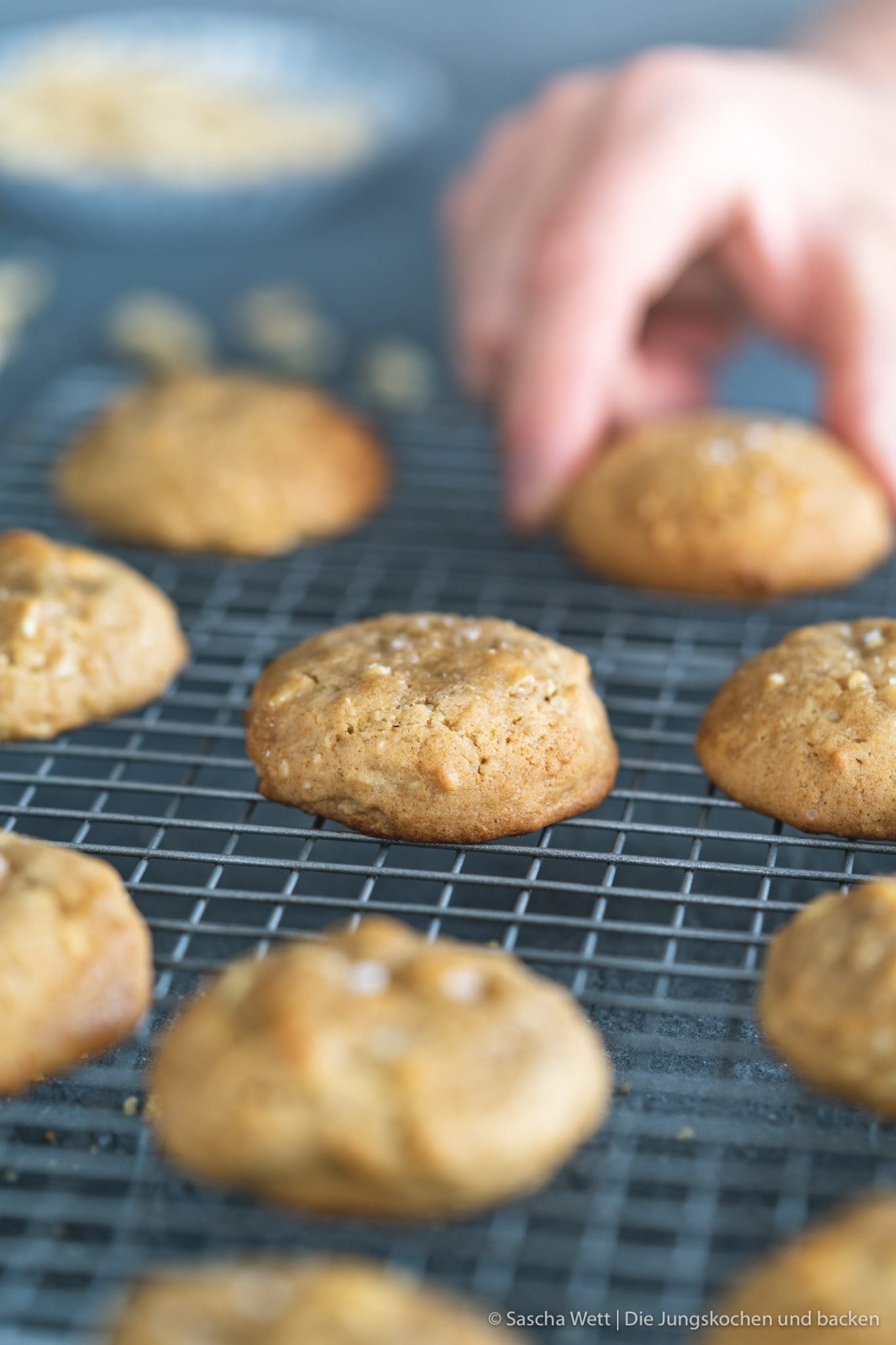 Honig_Cashew_Cookies_kenwood_kflex-17 Honig_Cashew_Cookies_kenwood_kflex-17