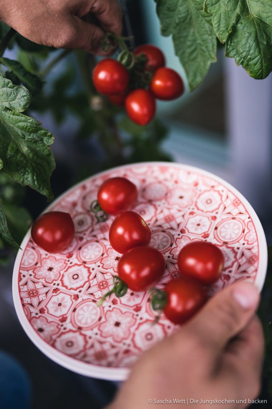 ToGo VB Tomaten Nudelsalat 4 | Heute haben wir ein extrem multifunktionales Rezept für euch, denn unser Nudelsalat mit Tomaten, Pfirsich und gebratenem Romana passt perfekt in einen Schönen Grillabend mit Freunden, ist aber auch das perfekte Essen fürs Büro. Super frisch und definitiv nicht zu schwer, lässt es sich auch nach dem Mittagessen noch wunderbar arbeiten und man verfällt nicht in dieses anstrengende "Fresskoma", dass man in Kantinen oft hat.