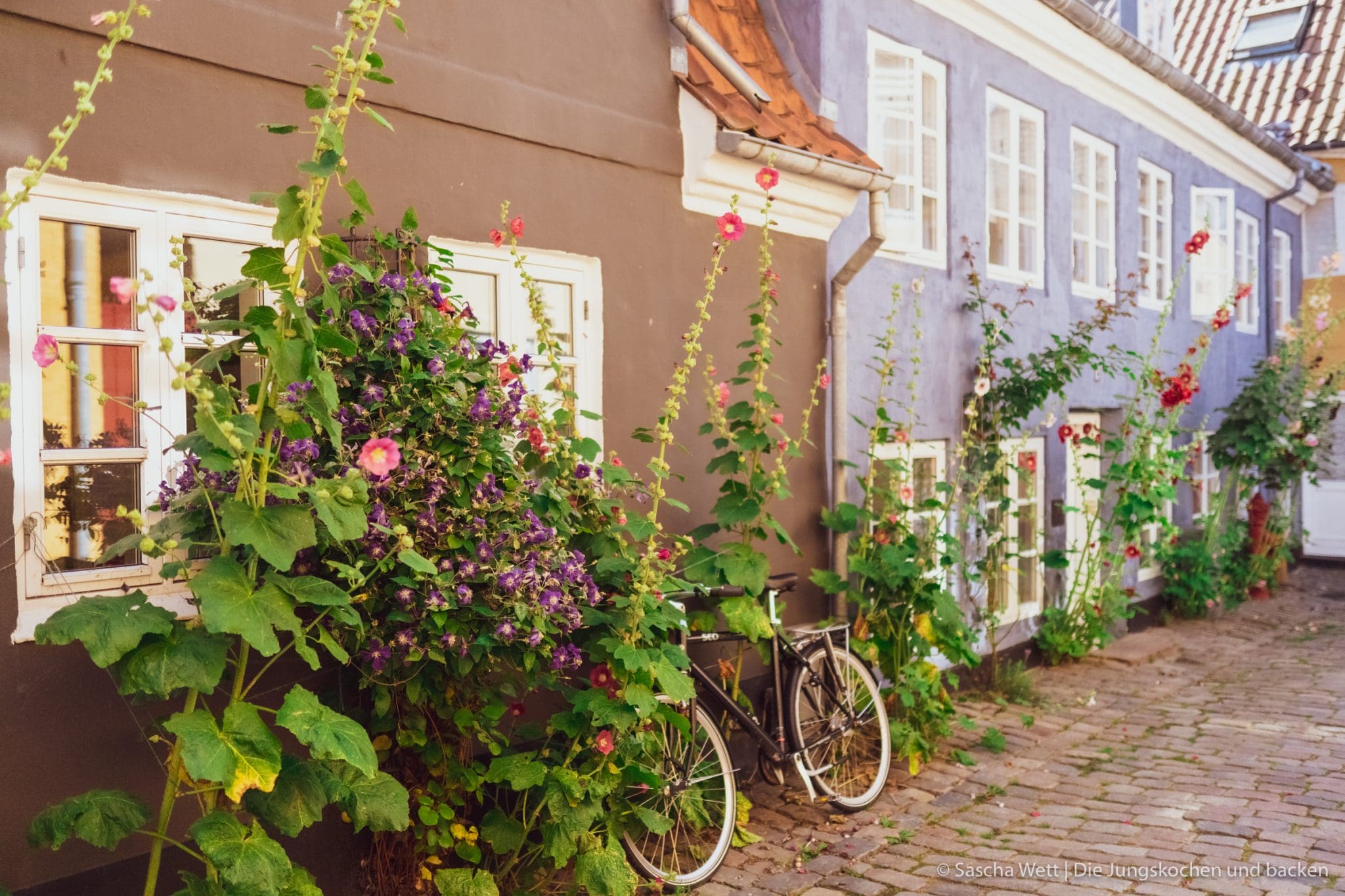 Ein Wochenende in Aalborg | Tour-Guide