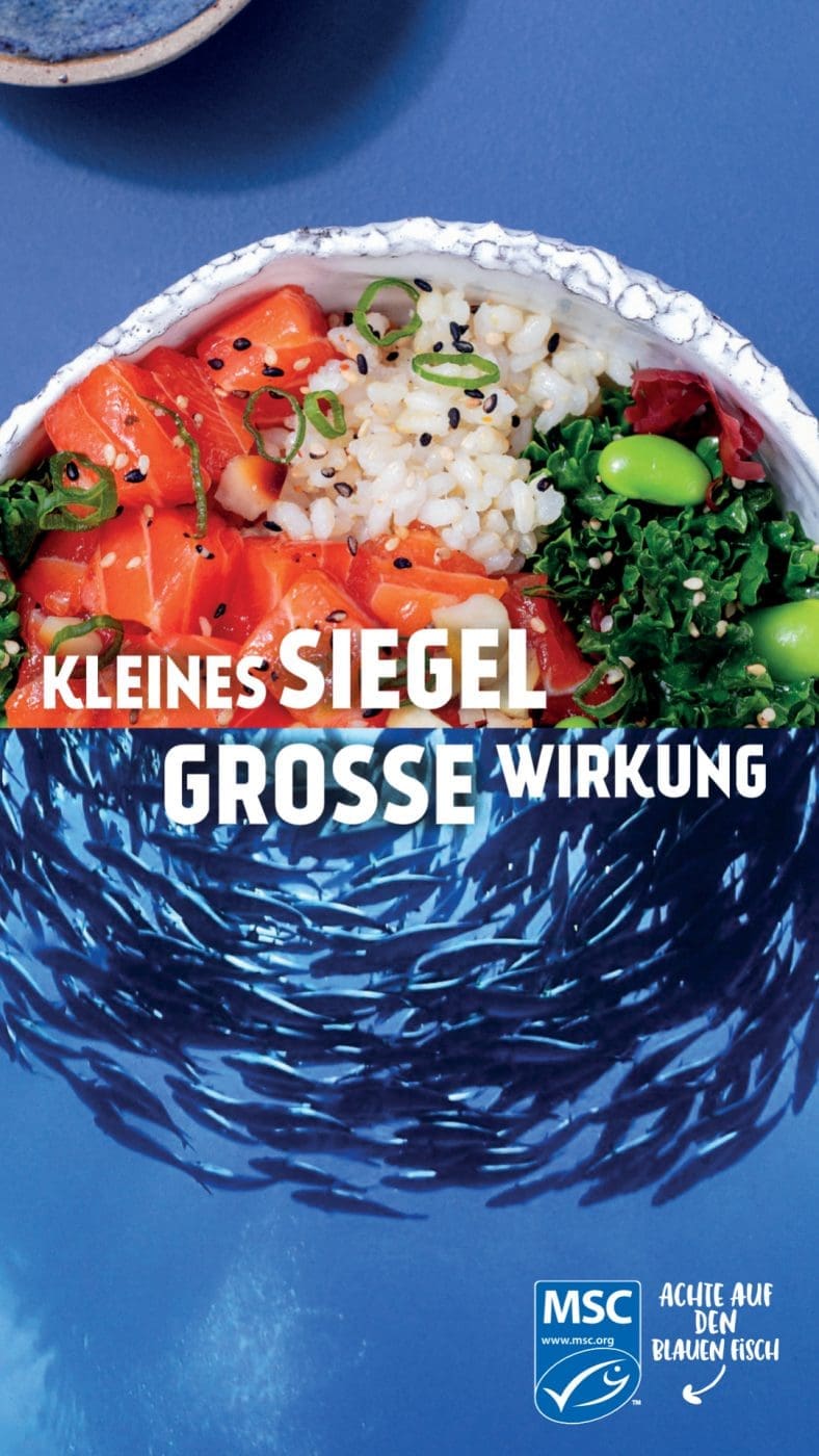 WOD 3 KV | Wir lieben Fischgerichte - wie sieht das bei euch aus? Seit Kindertagen schon mag ich Fisch. So richtig aufgeblüht ist die Liebe aber erst während der ersten Urlaube am Meer. In Barcelona haben wir einige Fischrestaurants, die wir immer gerne besuchen. Fisch und die mediterrane Küche passen einfach sehr gut zusammen! Und damit wir auch in der Zukunft noch weitere spannende Rezept mit Fisch kreieren können, unterstützen wir den MSC zum diesjährigen Tag der Meere - dem World Ocean Day. Dieser lädt nämlich zum großen virtuellen Dinner und wir bringen Rotbarsch mit Parmesan-Spaghetti mit.