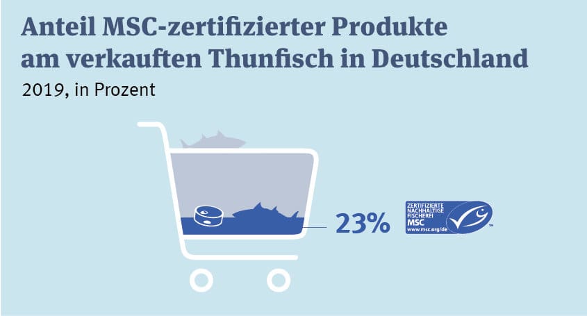 Rezept für gefüllte Zucchini mit Thunfisch. Ein wunderbares Gericht für die schnelle Feierabendküche | inklusive dem Thunfisch-Bericht 20190 des MSC!