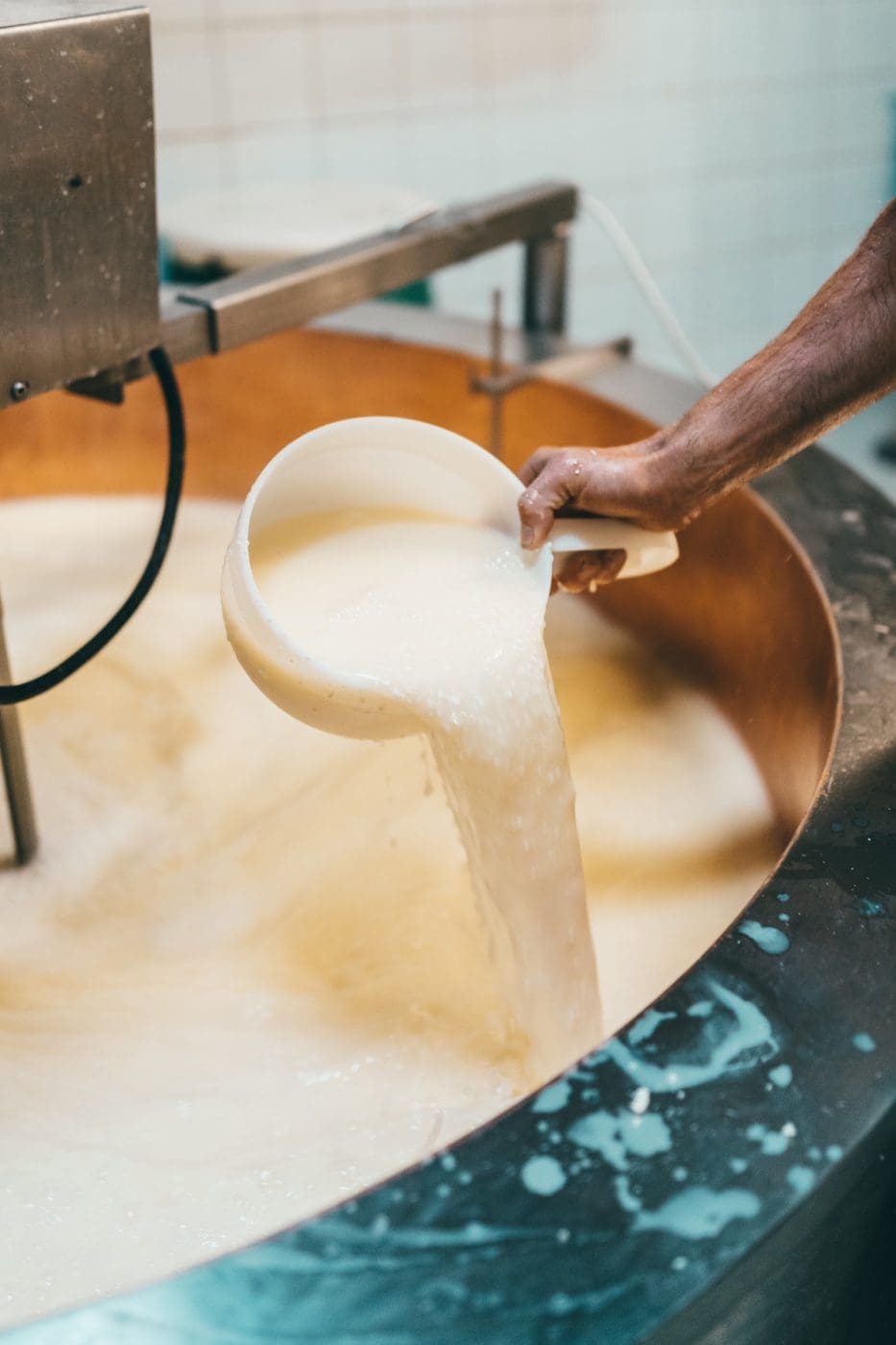 Alpkäse entsteht in Handarbeit