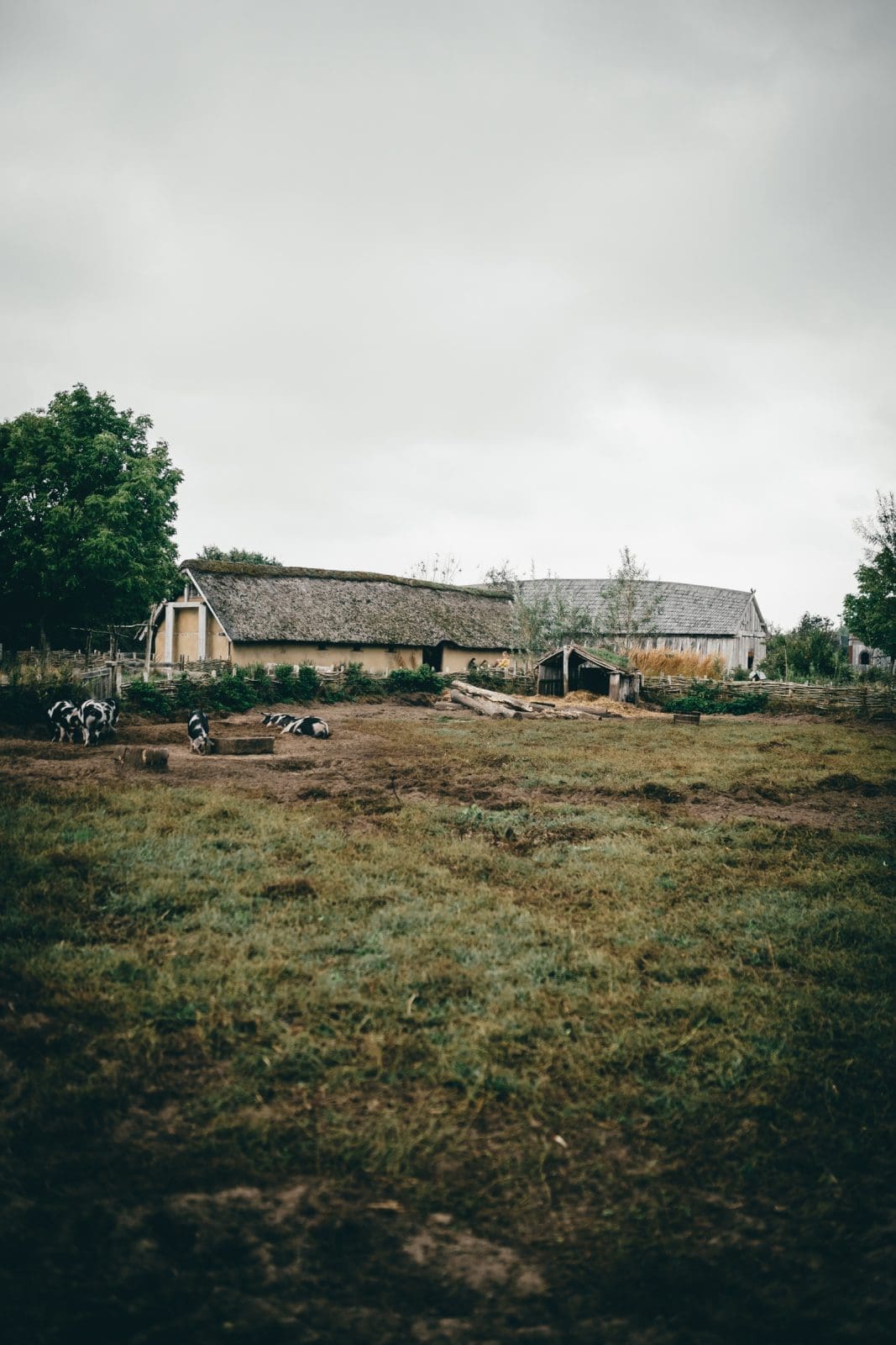 Dänisches Gebäck aus Ribe
