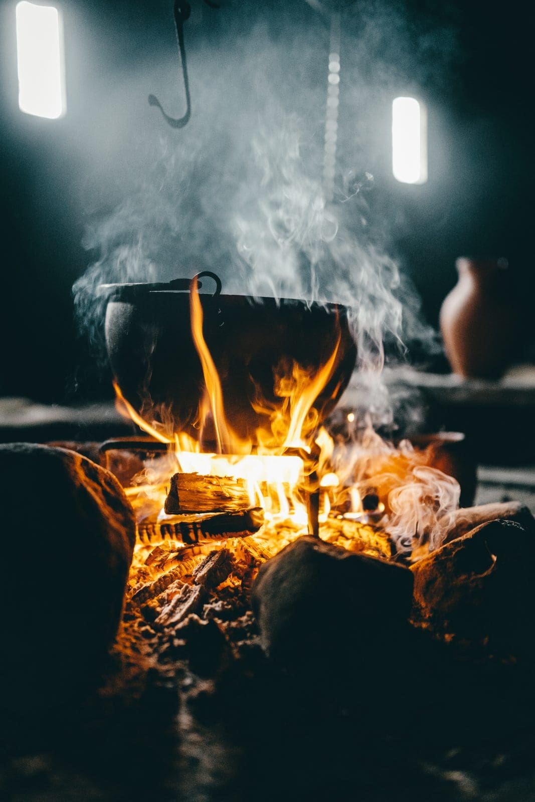 Kochen wie die Wikinger