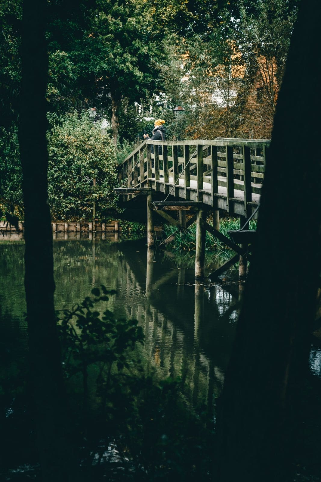 Fischplatte im Sælhunden