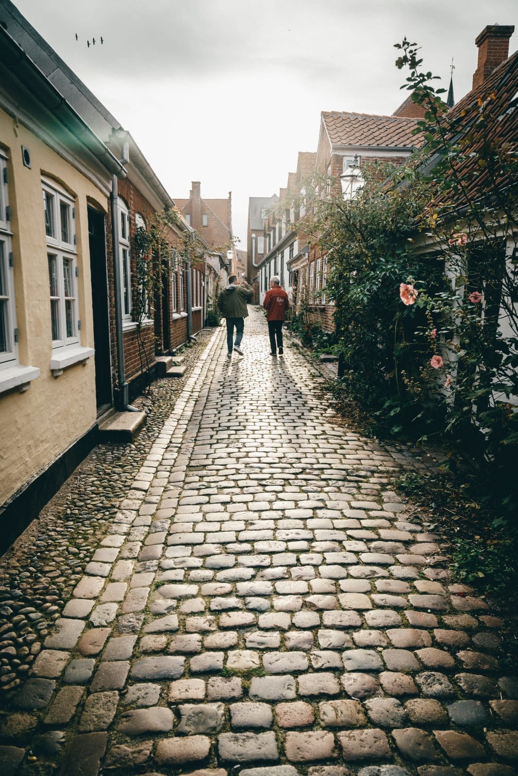 Temper Chokolade in Ribe