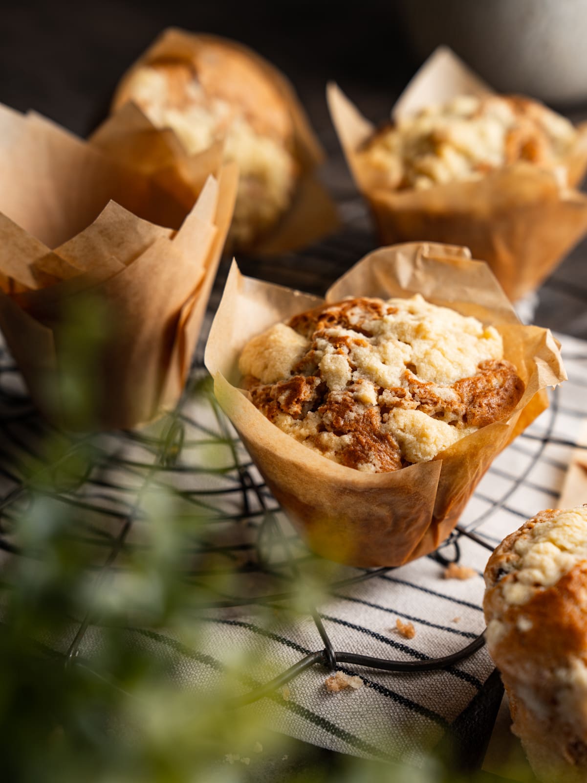 Streuselmuffins 08 | Streusel-Fans aufgepasst. Heute gibt's bei uns Streusel im Überfluss. Nicht nur, dass wir unsere Streusel-Nougat-Muffins damit getoppt haben. Nein, wir haben sie auch gleich mit im Teig verbacken. Alle von Euch, die genauso auf Streusel stehen, wie wir beide, die sollten sich sofort die Zutaten im Rezept anschauen, überlegen, ob sie im Kühl- und Vorratsschrank vorhanden sind und mit dem Rezept los legen. Ihr braucht nur ein paar Zutaten und Ihr könntet gleich schon diese leckeren Köstlichkeiten auf dem Tisch stehen haben und darüber herfallen.