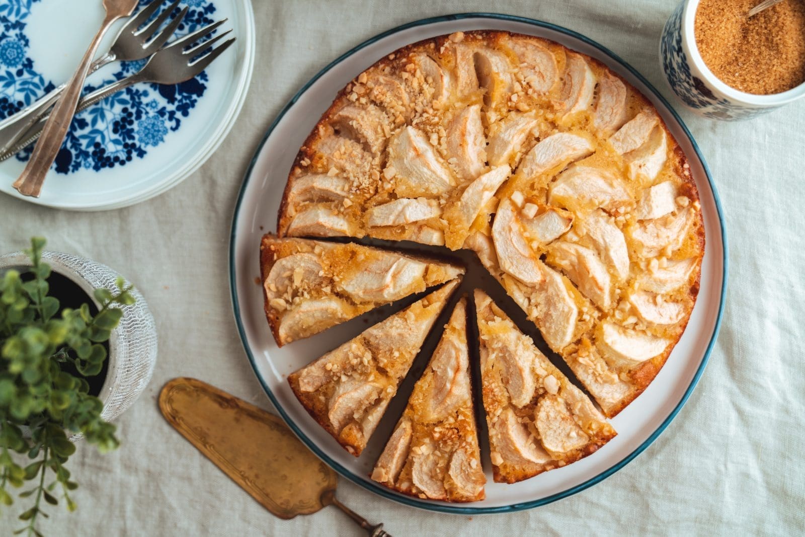 Die fertige Appeltaart von oben, in gleichmäßige Stücke geschnitten