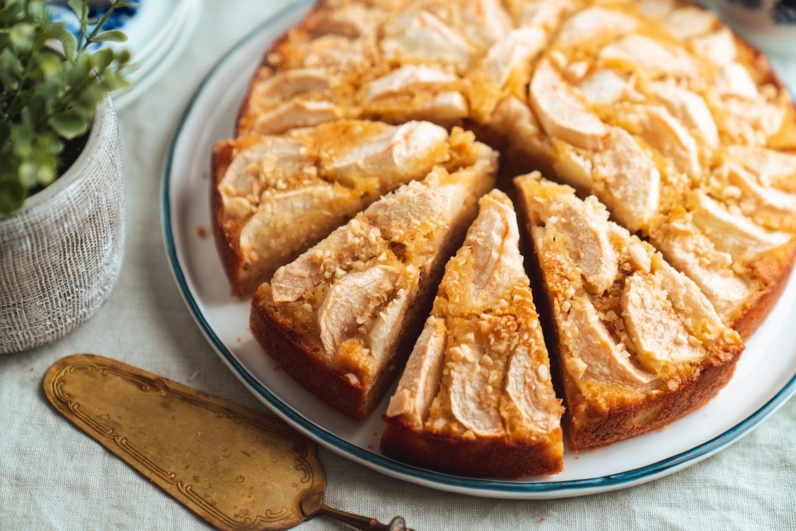 Holländischer Apfelkuchen von oben mit gleichmäßig gelegten Apfelspalten und Mandeln