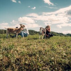 Kystlandet22 94 | Für uns ging es mit Visit Denmark erneut ins schöne Dänemark! Es ging wie auch schon beim letzten Trip an die Ostsee, allerdings etwas nördlicher. Den meisten ist bestimmt Aarhus ein Begriff und es hat uns ganz in die Nähe in die Region Kystlandet, Küstenland, verschlagen. Hier könnt Ihr Insel-Hopping betreiben, schicke Städte besuchen oder es Euch einfach in der Natur gut gehen lassen - ganz egal ob an einem Strand entlang der Küste oder auf einem Hügel auf dem Land.  Wie immer haben wir unsere Stationen und Erlebnisse für Euch in Form eines praktischen Food- und Travelguides zusammengeschrieben und wünschen Euch viel Spaß beim Entdecken!