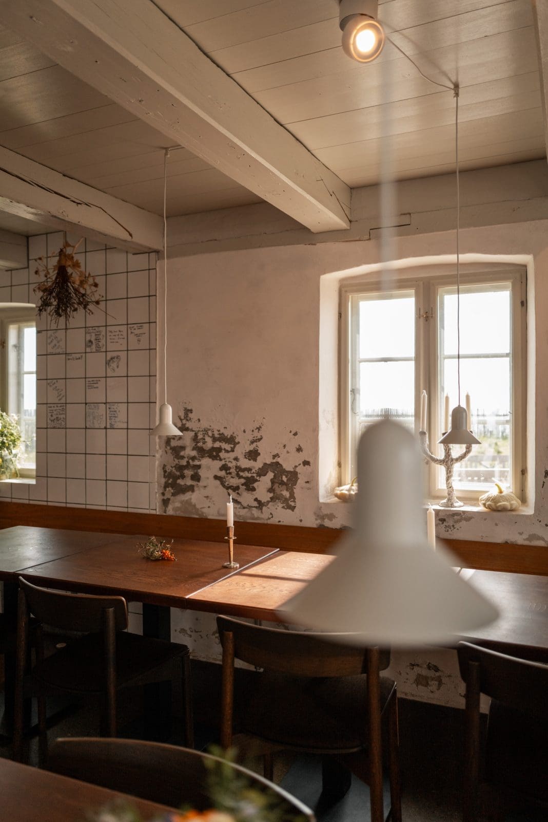 Skagen kulinarisch: unsere Tipps für Dänemarks Norden 29 Wilde Zutaten sammeln in Skagen