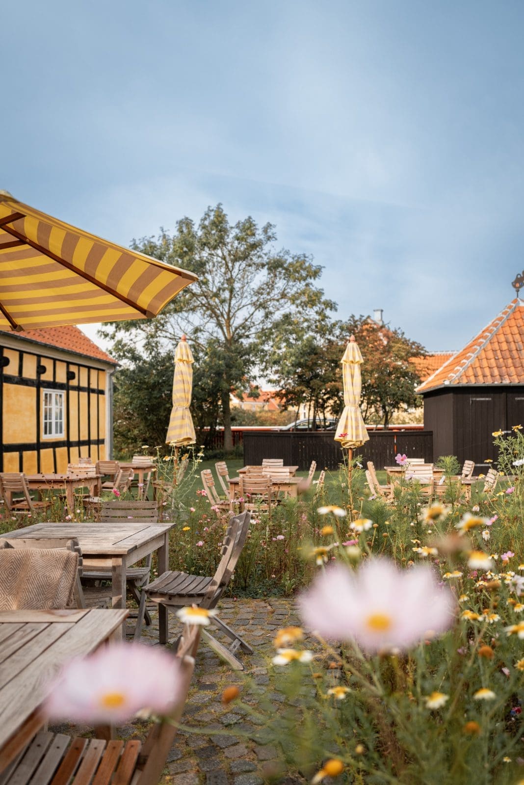 Skagen kulinarisch: unsere Tipps für Dänemarks Norden 23 Frühstück im Café Saxild