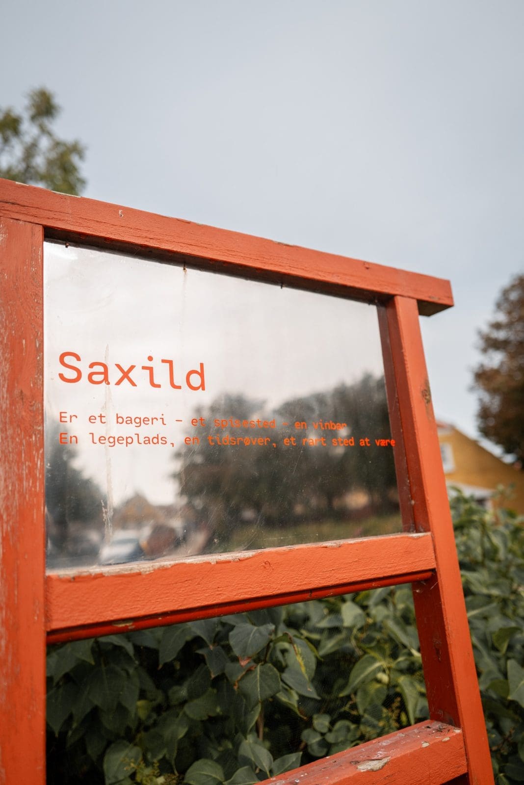 Skagen kulinarisch: unsere Tipps für Dänemarks Norden 22 Café Saxild in Skagen