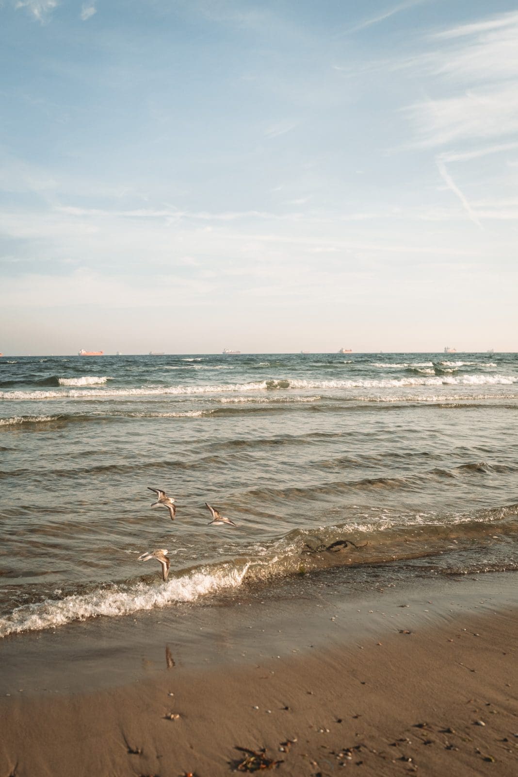 Skagen kulinarisch: unsere Tipps für Dänemarks Norden 26 Wo Nordsee und Ostsee sich treffen