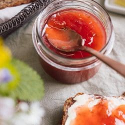 Rhabarber Marmelade Lea 16 | Wir hoffen, ihr könnt noch Rhabarber-Rezepte sehen. Denn wir haben eine neue leckere Rhabarber Marmelade mit Minze und Gin gekocht. Das heißt, eigentlich hat Lea sie gemacht und sie hat uns ganz begeistert von ihrer "Rhabarber-Resteverwertung" erzählt. Da wir uns unseren langersehnten Urlaub auf Mallorca gegönnt haben, hatte Lea ja genügend Zeit, sich im Studio auszutoben. Und herausgekommen ist diese super leckere neue Marmelade, die natürlich in Wirklichkeit ein Fruchtaufstrich ist, da sie nicht aus Zitrusfrüchten besteht und daher den Namen Marmelade nicht "verdient". Aber sei es drum Ihr wisst, nachkochen solltet ihr sie egal wie sie heißt!