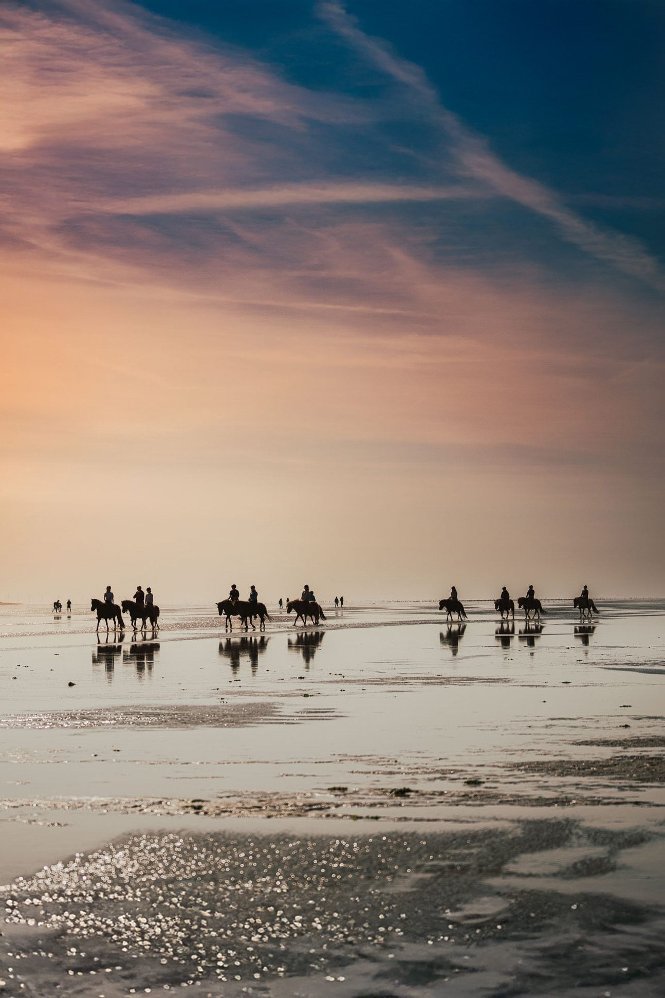 Rømø Urlaub 2024 – Abenteuer, Natur & Kulinarik auf Dänemarks Wattenmeerinsel