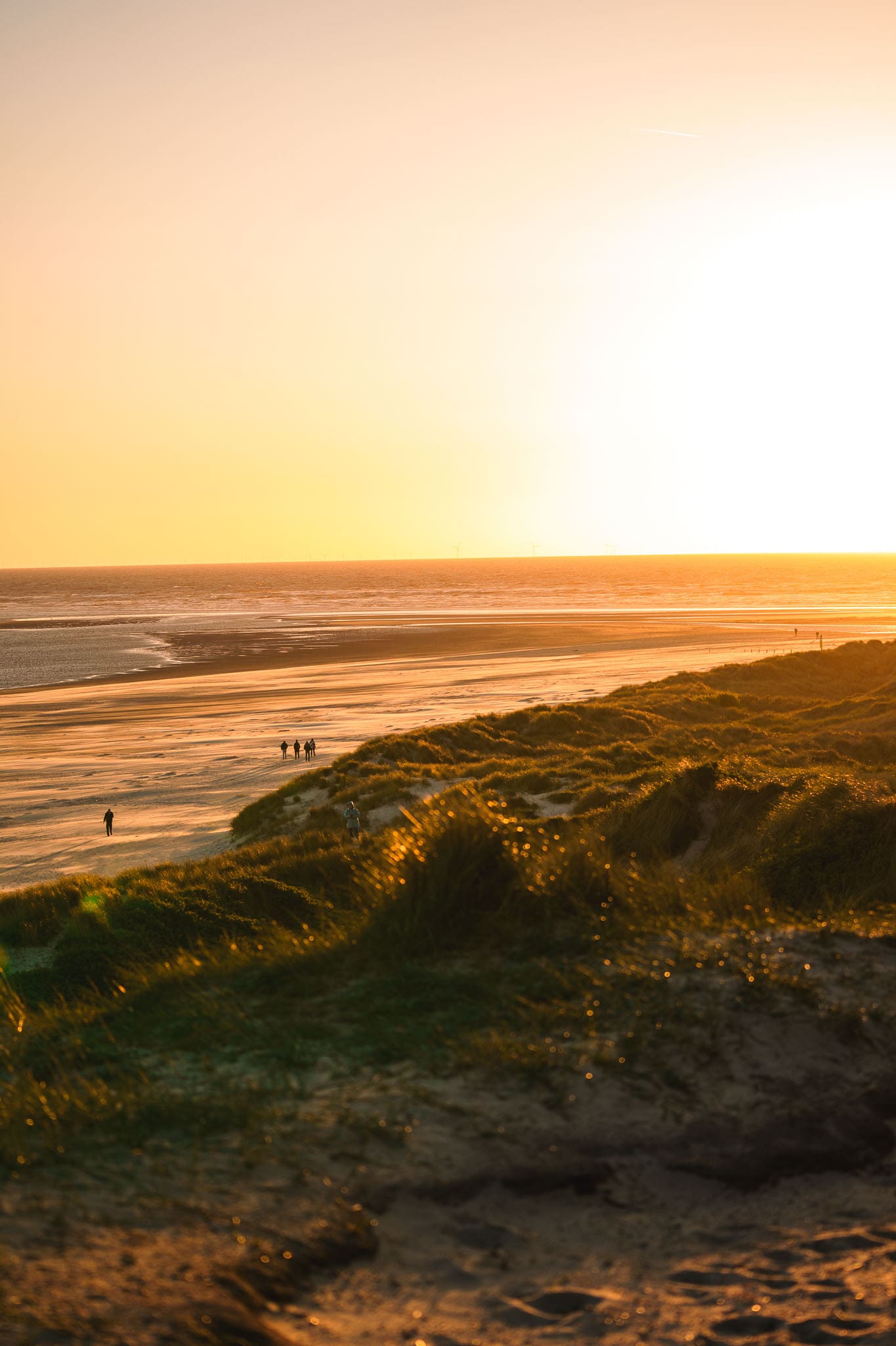 Blåvand Urlaub erleben: Kulinarik Tipps, Ausflugsziele und echtes Hygge-Gefühl