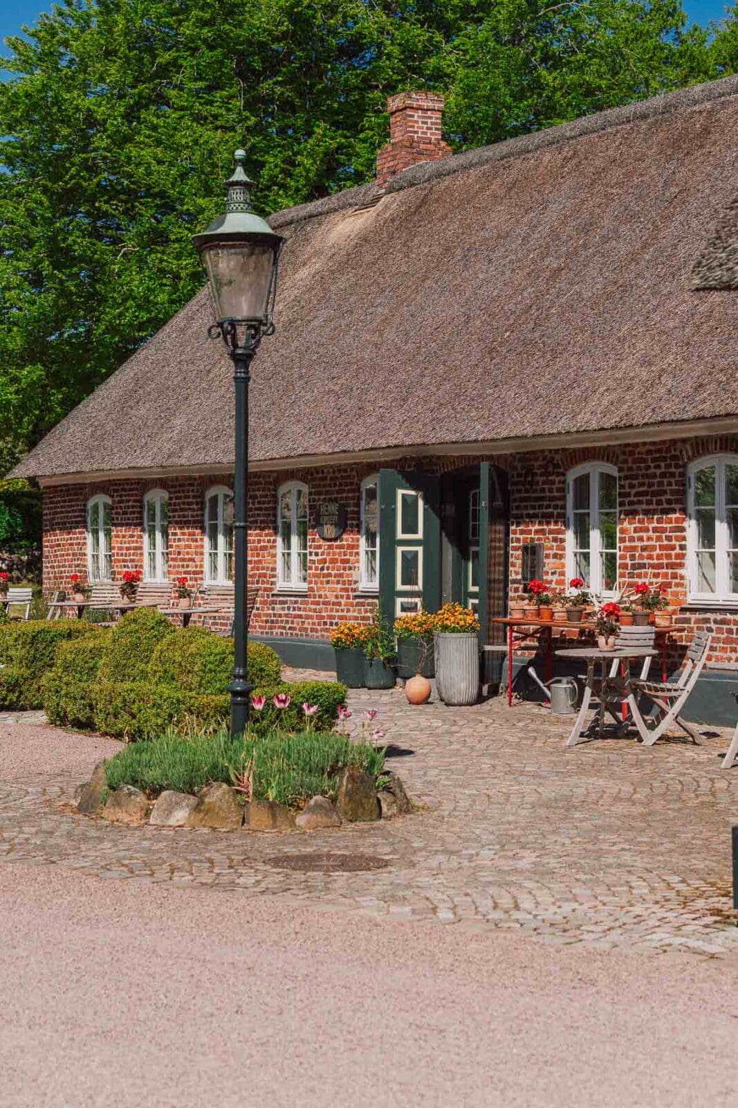 Blavand Daenemark 104 | Ein Ferienhaus an Dänemarks Westküste, gutes Essen, ehrliche Produzenten und viel Natur: Blåvand hat uns wieder begeistert. Unsere Highlights & Geheimtipps für eure Reise.