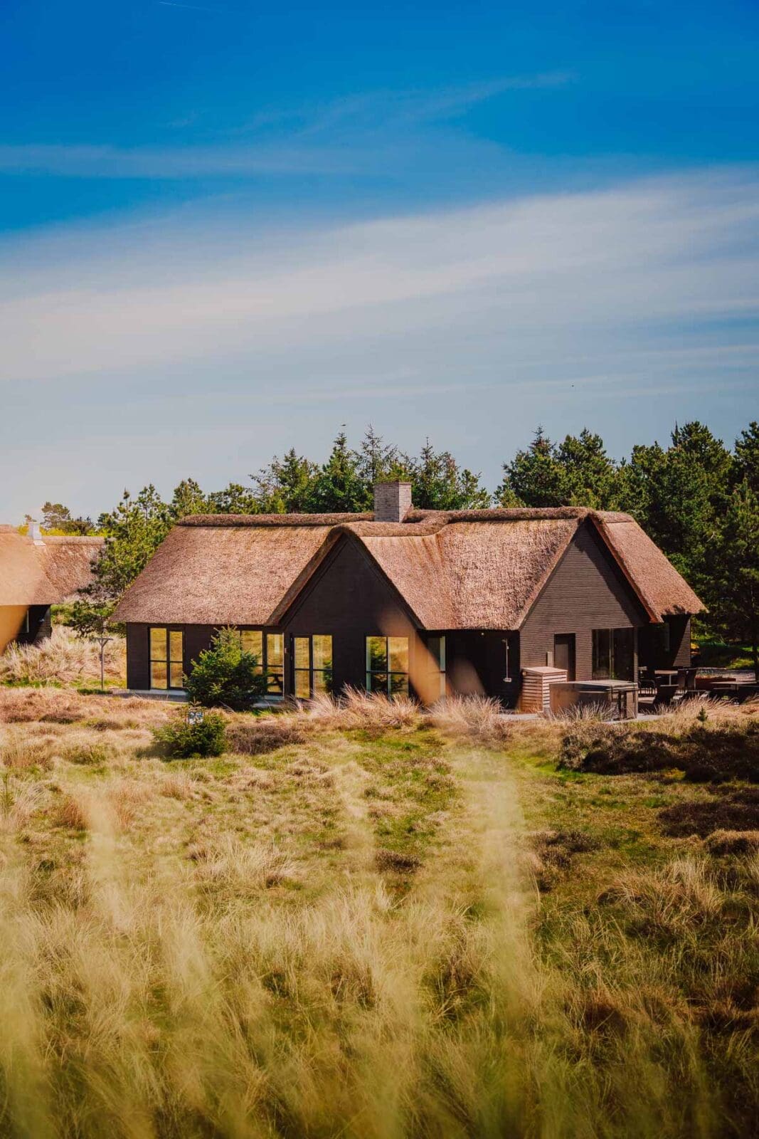 Blavand Daenemark 16 | Ein Ferienhaus an Dänemarks Westküste, gutes Essen, ehrliche Produzenten und viel Natur: Blåvand hat uns wieder begeistert. Unsere Highlights & Geheimtipps für eure Reise.