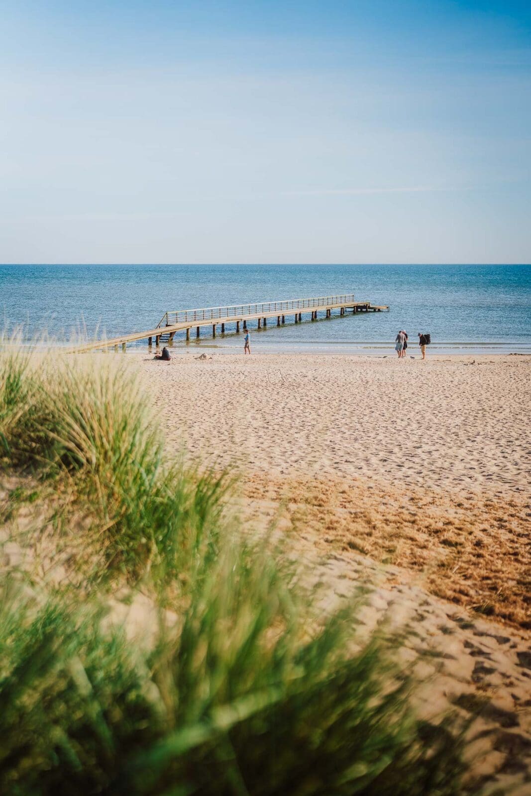 Blavand Daenemark 25 | Ein Ferienhaus an Dänemarks Westküste, gutes Essen, ehrliche Produzenten und viel Natur: Blåvand hat uns wieder begeistert. Unsere Highlights & Geheimtipps für eure Reise.