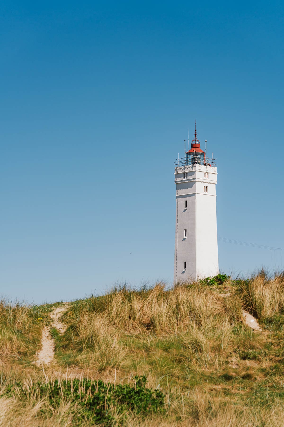 Blavand Daenemark 95 1 | Ein Ferienhaus an Dänemarks Westküste, gutes Essen, ehrliche Produzenten und viel Natur: Blåvand hat uns wieder begeistert. Unsere Highlights & Geheimtipps für eure Reise.