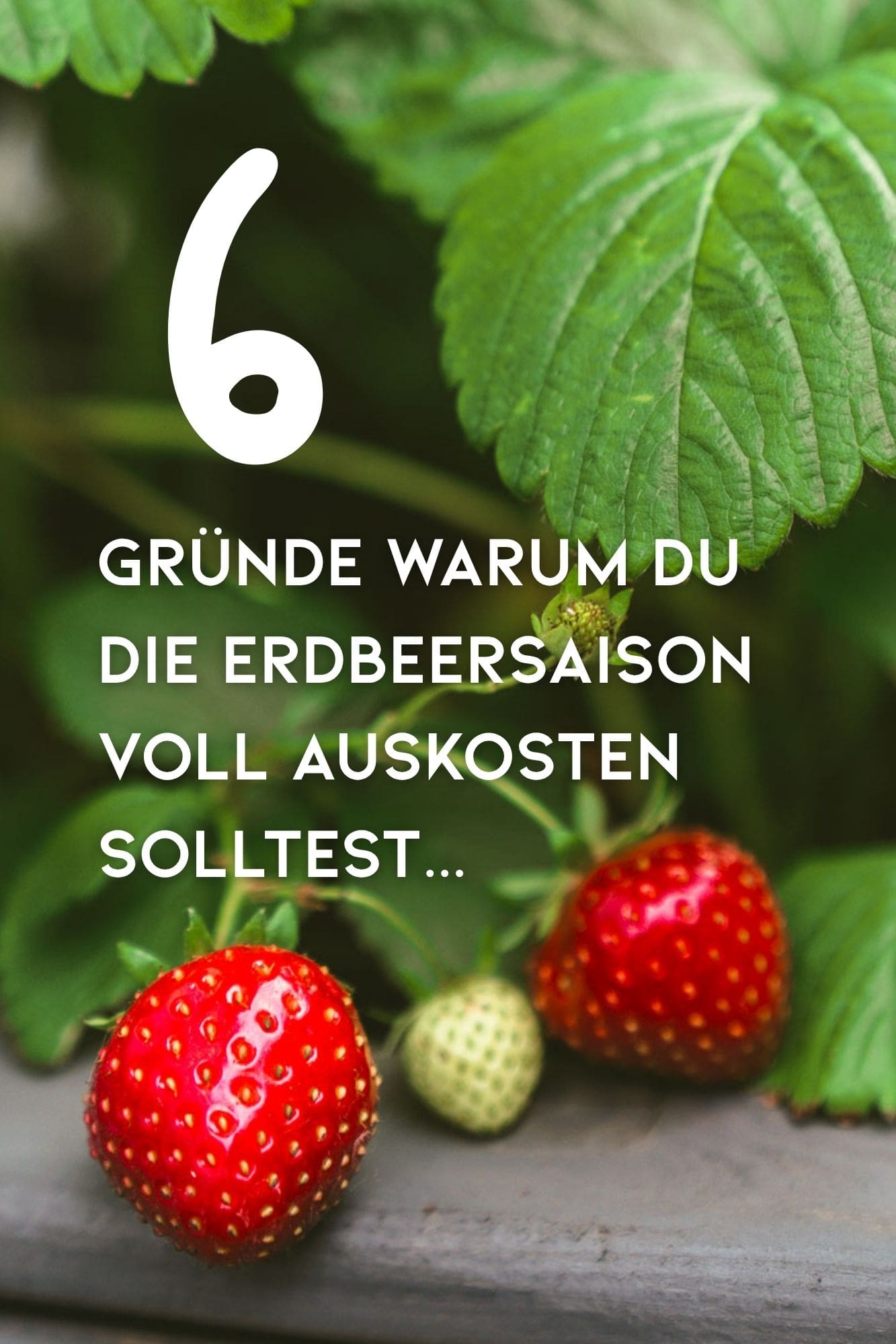 Die besten Erdbeerrezepte: 6 unwiderstehliche Gründe, die Erdbeersaison voll auszukosten!