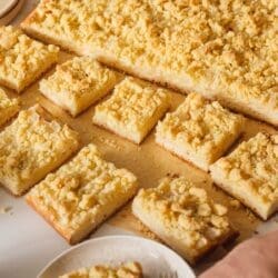 Apfel Streuselkuchen nach Oma Lore mit Hefeteig, saftigen Äpfeln und knusprigen Streuseln. Tipps zu Sorten, Einfrieren und Backzeit.