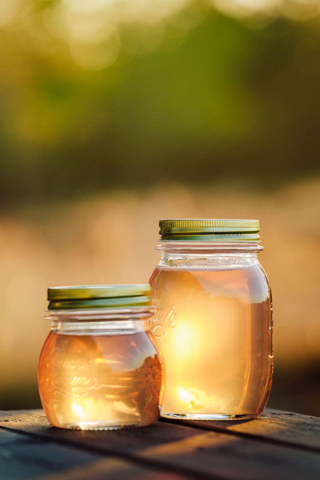 Fichtennadelsirup selber machen aus jungen Triebspitzen 18 Fichtennadelsirup abgefüllt in Gläser auf dem Gartentisch im Sonnenlicht