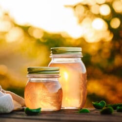 Fichtennadelsirup abgefüllt in Gläsern auf dem Gartentisch im Sonnenlicht