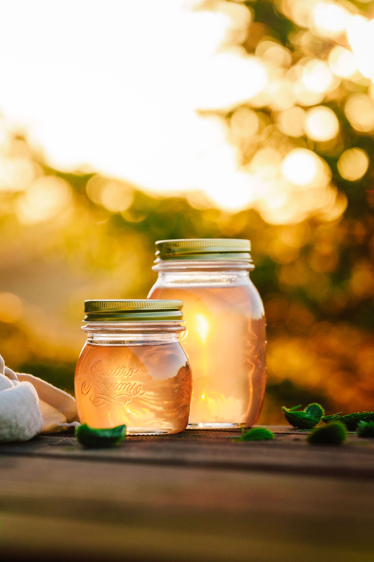Fichtennadelsirup selber machen aus jungen Triebspitzen
