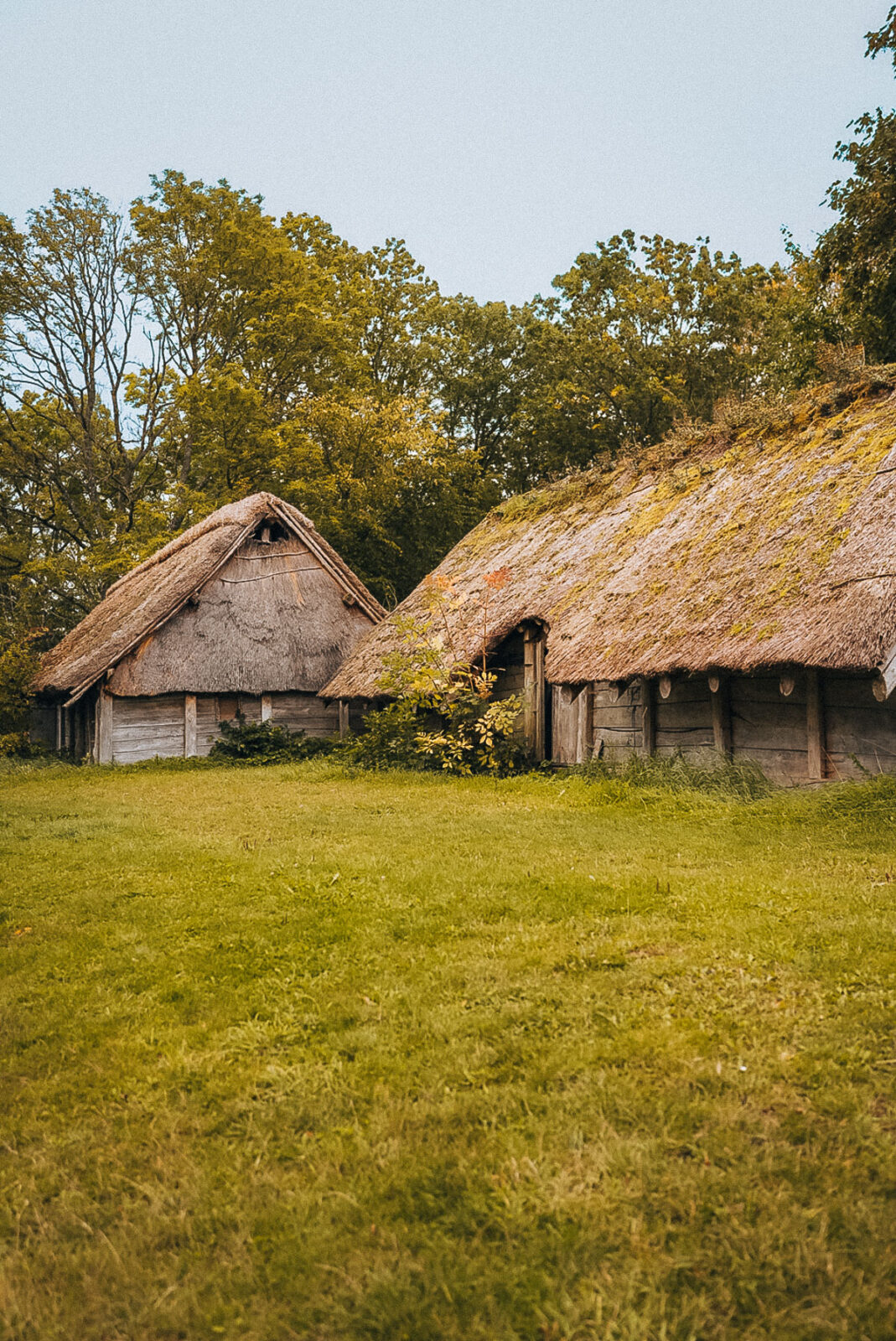 Roskilde visitfjordlandet 61 | Roskilde und Fjordlandet liegen nur rund 30 Kilometer von Kopenhagen entfernt. Wikingerschiffe, UNESCO-Dom, Bio-Brauerei und das beste Eis der Region, unsere Tipps aus fünf Tagen am Roskilde Fjord.